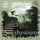 Amethystium (mp3) Формат: MP3_CD (Jewel Case) Дистрибьюторы: Правительство звука, DreaMusic Россия Битрейт: 320 Кбит/с Частота: 44 1 КГц Тип звука: Stereo Лицензионные товары Характеристики аудионосителей 2010 г , инфо 11089q.